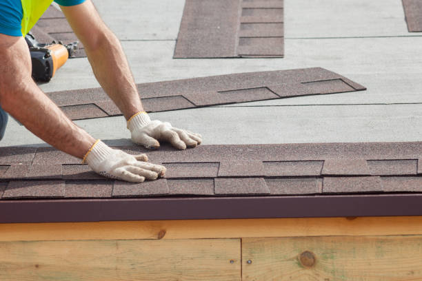 Trusted Freeland, PA Roofing services Experts